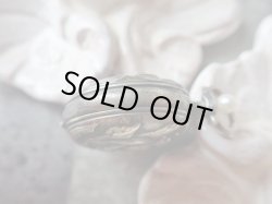 画像13: 【19世紀末から20世紀初頭】【アールヌーヴォー】【猛禽類と芍薬のポルトルイドール】フランス・アンティーク＆ヴィンテージ品