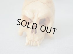 画像8: 【店主コレクション放出品1】髑髏彫刻【般若髑髏】牙製 髑髏作家服部・髑髏根付・提げ物・彫刻・その他髑髏作品