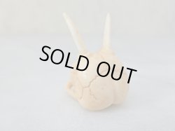 画像3: 【店主コレクション放出品1】髑髏彫刻【般若髑髏】牙製 髑髏作家服部・髑髏根付・提げ物・彫刻・その他髑髏作品