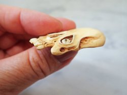 画像12: 【店主コレクション放出品2】髑髏ペンダントトップ/根付【象嵌目髑髏】牙製 髑髏作家服部・髑髏根付・提げ物・彫刻・その他髑髏作品