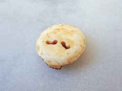 画像7: 【店主コレクション放出品4】【髑髏カメオ/ボタン】牙製 髑髏作家服部・髑髏根付・提げ物・彫刻・その他髑髏作品