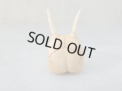 画像4: 【店主コレクション放出品1】髑髏彫刻【般若髑髏】牙製 髑髏作家服部・髑髏根付・提げ物・彫刻・その他髑髏作品