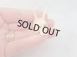 画像10: 【店主コレクション放出品1】髑髏彫刻【般若髑髏】牙製 髑髏作家服部・髑髏根付・提げ物・彫刻・その他髑髏作品