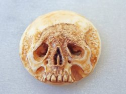 画像8: 【店主コレクション放出品4】【髑髏カメオ/ボタン】牙製 髑髏作家服部・髑髏根付・提げ物・彫刻・その他髑髏作品