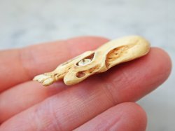 画像13: 【店主コレクション放出品2】髑髏ペンダントトップ/根付【象嵌目髑髏】牙製 髑髏作家服部・髑髏根付・提げ物・彫刻・その他髑髏作品