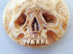 画像9: 【店主コレクション放出品4】【髑髏カメオ/ボタン】牙製 髑髏作家服部・髑髏根付・提げ物・彫刻・その他髑髏作品