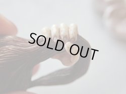 画像11: 【店主コレクション放出品5】髑髏彫刻【女髑髏と幽霊の手】牙製 髑髏作家服部・髑髏根付・提げ物・彫刻・その他髑髏作品