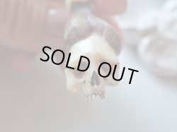 画像9: 【店主コレクション放出品5】髑髏彫刻【女髑髏と幽霊の手】牙製 髑髏作家服部・髑髏根付・提げ物・彫刻・その他髑髏作品