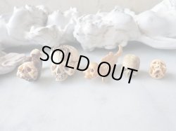 他の作品との大きさ比較