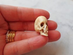画像16: 【店主コレクション放出品7】髑髏根付・ペンダントトップ【好々爺髑髏2】牙製 髑髏作家服部・髑髏根付・提げ物・彫刻・その他髑髏作品