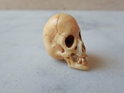 画像10: 【店主コレクション放出品7】髑髏根付・ペンダントトップ【好々爺髑髏2】牙製 髑髏作家服部・髑髏根付・提げ物・彫刻・その他髑髏作品