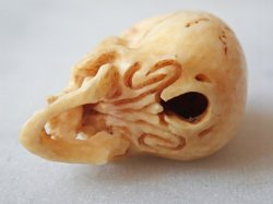 画像9: 【店主コレクション放出品7】髑髏根付・ペンダントトップ【好々爺髑髏2】牙製 髑髏作家服部・髑髏根付・提げ物・彫刻・その他髑髏作品