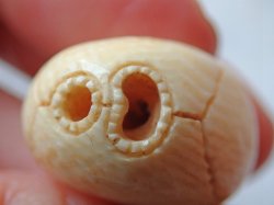 画像14: 【店主コレクション放出品7】髑髏根付・ペンダントトップ【好々爺髑髏2】牙製 髑髏作家服部・髑髏根付・提げ物・彫刻・その他髑髏作品