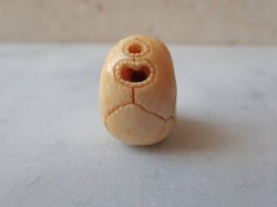 画像4: 【店主コレクション放出品7】髑髏根付・ペンダントトップ【好々爺髑髏2】牙製 髑髏作家服部・髑髏根付・提げ物・彫刻・その他髑髏作品