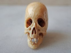 画像7: 【店主コレクション放出品7】髑髏根付・ペンダントトップ【好々爺髑髏2】牙製 髑髏作家服部・髑髏根付・提げ物・彫刻・その他髑髏作品