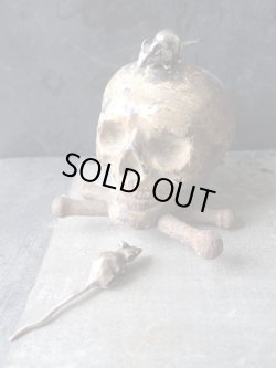 別売りの他ネズミとのディスプレイ例