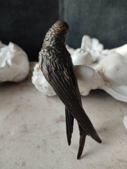 画像5: 【アンティークヴィエナブロンズ】【ツバメ】オーストリア・アンティーク＆ヴィンテージ品