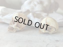 他髑髏と比較（右側です）