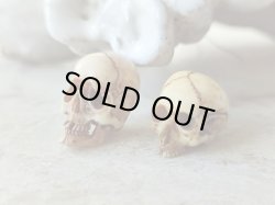 他髑髏と比較（右側です）