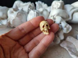 画像14: 【店主コレクション放出品6】数珠・ブレスレット用φ3mm横貫通穴あき髑髏【好々爺髑髏】牙製 髑髏作家服部・髑髏根付・提げ物・彫刻・その他髑髏作品