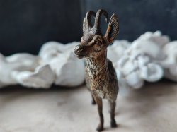 画像10: 【アンティークヴィエナブロンズ】【シャモア】オーストリア・アンティーク＆ヴィンテージ品