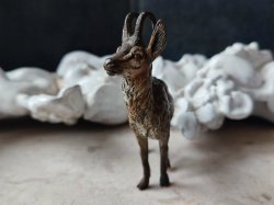 画像6: 【アンティークヴィエナブロンズ】【シャモア】オーストリア・アンティーク＆ヴィンテージ品