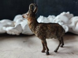 画像11: 【アンティークヴィエナブロンズ】【シャモア】オーストリア・アンティーク＆ヴィンテージ品