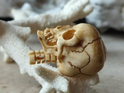 画像11: 【店主コレクション放出品10】ネックレス/根付用着脱可能頚椎付（3×1.6mm楕円穴）髑髏【好々爺頚椎付髑髏根付】牙製 髑髏作家服部・髑髏根付・提げ物・彫刻・その他髑髏作品