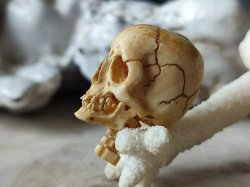 画像5: 【店主コレクション放出品10】ネックレス/根付用着脱可能頚椎付（3×1.6mm楕円穴）髑髏【好々爺頚椎付髑髏根付】牙製 髑髏作家服部・髑髏根付・提げ物・彫刻・その他髑髏作品