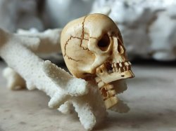 画像8: 【店主コレクション放出品10】ネックレス/根付用着脱可能頚椎付（3×1.6mm楕円穴）髑髏【好々爺頚椎付髑髏根付】牙製 髑髏作家服部・髑髏根付・提げ物・彫刻・その他髑髏作品