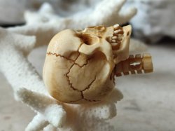 画像12: 【店主コレクション放出品10】ネックレス/根付用着脱可能頚椎付（3×1.6mm楕円穴）髑髏【好々爺頚椎付髑髏根付】牙製 髑髏作家服部・髑髏根付・提げ物・彫刻・その他髑髏作品