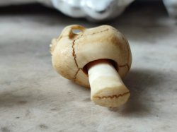 画像20: 【店主コレクション放出品10】ネックレス/根付用着脱可能頚椎付（3×1.6mm楕円穴）髑髏【好々爺頚椎付髑髏根付】牙製 髑髏作家服部・髑髏根付・提げ物・彫刻・その他髑髏作品