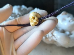 画像18: 【店主コレクション放出品11】【下顎無髑髏】【数珠用3m横穴】牙製 髑髏作家服部・髑髏根付・提げ物・彫刻・その他髑髏作品