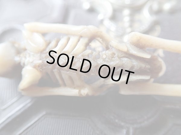 画像5: 【メメントモリ】【髑髏/骸骨/全身骨格角あるいは骨に彫刻】ドイツ・アンティーク＆ヴィンテージ聖品 (5)