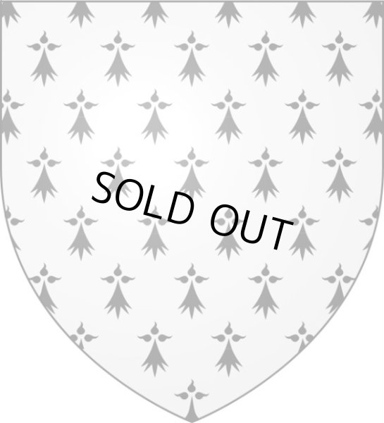 画像14: I様ご予約品【ブルターニュ紋章シンボルエルミーヌ】【王冠を被ったオコジョ】【シルバー製チャーム】フランス・アンティーク＆ヴィンテージ品 (14)