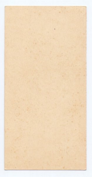 画像2: 【ボタニカルアートお花の絵H】【1900年代初頭】フランス・アンティーク＆ヴィンテージホーリーカード (2)