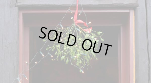 画像18: 【24金鍍金】【ヤドリギとアイビー】【19世紀末当時の写真入り】フランス・アンティーク＆ヴィンテージ品 (18)