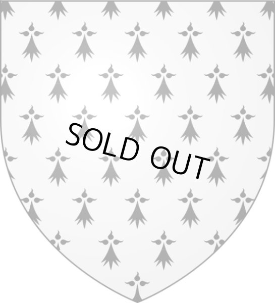 画像18: 【モン・サン・ミシェル巡礼記念メダイ】【大天使ミカエル】【隠しエルミーヌ・プラン】フランス・アンティーク＆ヴィンテージメダイ (18)