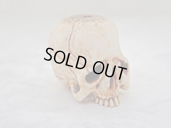 画像6: 【髑髏根付】【A・共箱付き】髑髏作家服部・髑髏根付・提げ物・彫刻・その他髑髏作品 (6)