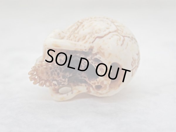 画像9: 【髑髏根付】【A・共箱付き】髑髏作家服部・髑髏根付・提げ物・彫刻・その他髑髏作品 (9)