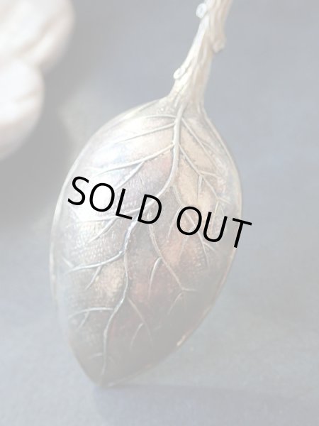 画像5: 【Franceコテレ紋章】【枝と葉っぱのティースプーン】フランス・アンティーク・ヴィンテージ品 (5)