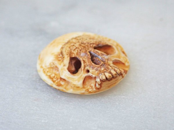 画像3: 【店主コレクション放出品4】【髑髏カメオ/ボタン】牙製 髑髏作家服部・髑髏根付・提げ物・彫刻・その他髑髏作品 (3)