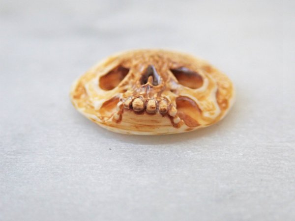 画像5: 【店主コレクション放出品4】【髑髏カメオ/ボタン】牙製 髑髏作家服部・髑髏根付・提げ物・彫刻・その他髑髏作品 (5)