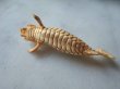 画像9: Reserved Page for S- Human face fish skeleton Ivory (9)