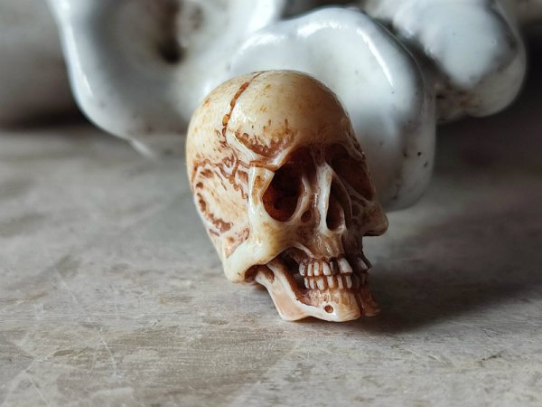 画像6: 【店主コレクション放出品8】髑髏根付・ペンダントトップ【下顎付髑髏根付】牙製 髑髏作家服部・髑髏根付・提げ物・彫刻・その他髑髏作品 (6)