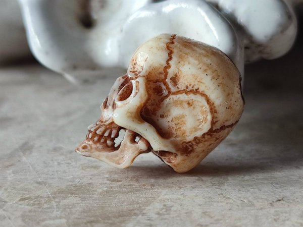 画像9: 【店主コレクション放出品8】髑髏根付・ペンダントトップ【下顎付髑髏根付】牙製 髑髏作家服部・髑髏根付・提げ物・彫刻・その他髑髏作品 (9)