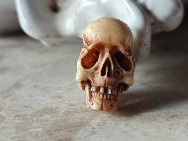 画像7: 【店主コレクション放出品8】髑髏根付・ペンダントトップ【下顎付髑髏根付】牙製 髑髏作家服部・髑髏根付・提げ物・彫刻・その他髑髏作品 (7)