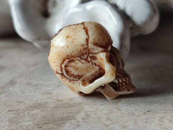 画像5: 【店主コレクション放出品8】髑髏根付・ペンダントトップ【下顎付髑髏根付】牙製 髑髏作家服部・髑髏根付・提げ物・彫刻・その他髑髏作品 (5)