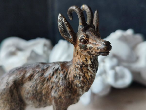 画像5: 【アンティークヴィエナブロンズ】【シャモア】オーストリア・アンティーク＆ヴィンテージ品 (5)