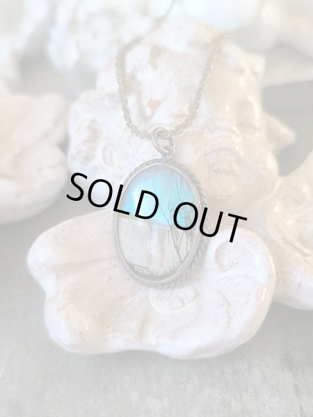 画像1: 【1900年代初期】【モルフォ蝶シルバージュエリー】【ヴィクトリアの滝】イギリス・アンティーク＆ヴィンテージ品 (1)